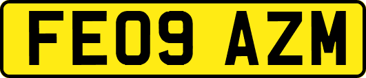 FE09AZM