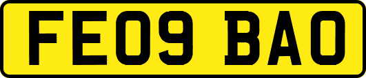 FE09BAO