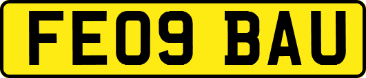 FE09BAU