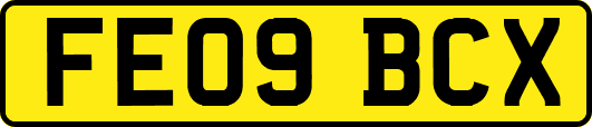 FE09BCX