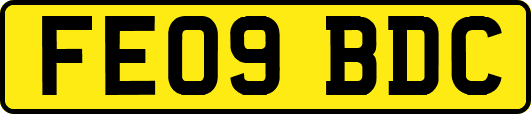 FE09BDC