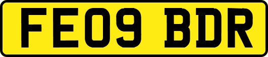 FE09BDR
