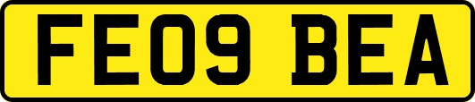 FE09BEA
