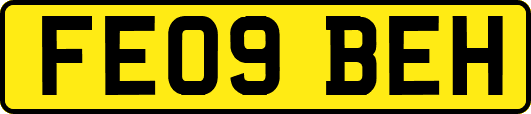 FE09BEH