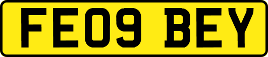 FE09BEY