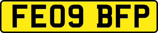 FE09BFP