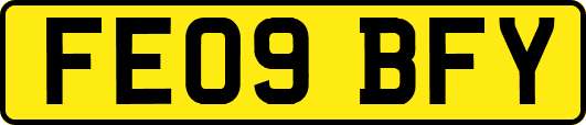 FE09BFY