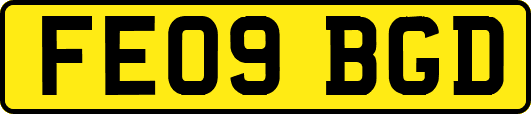 FE09BGD