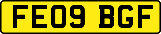 FE09BGF
