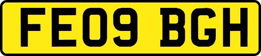 FE09BGH