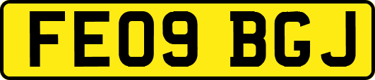 FE09BGJ