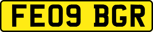 FE09BGR