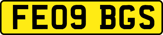 FE09BGS