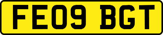 FE09BGT