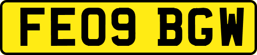 FE09BGW