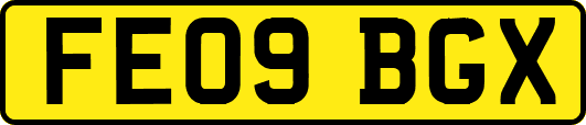 FE09BGX