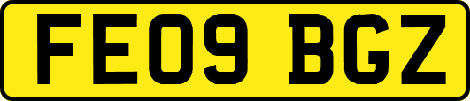 FE09BGZ