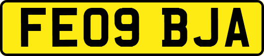 FE09BJA
