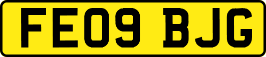 FE09BJG