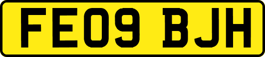FE09BJH