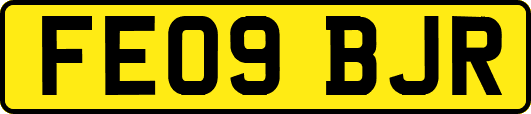 FE09BJR