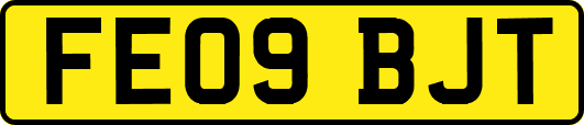 FE09BJT