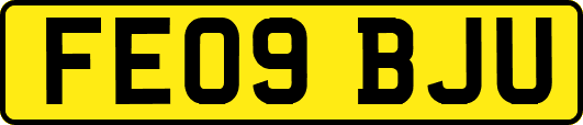FE09BJU