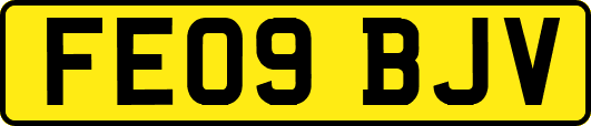 FE09BJV