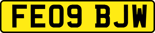 FE09BJW