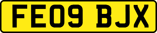 FE09BJX