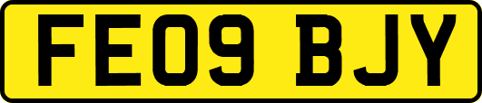 FE09BJY