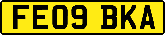 FE09BKA