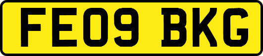 FE09BKG