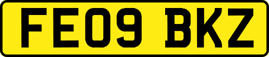 FE09BKZ