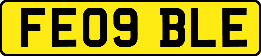 FE09BLE