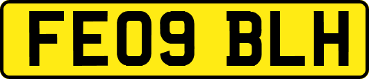 FE09BLH