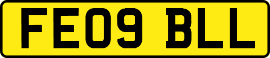 FE09BLL