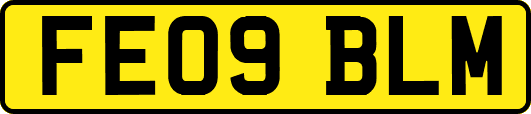FE09BLM
