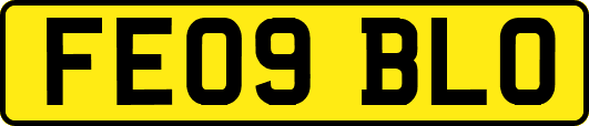 FE09BLO