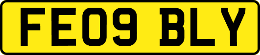 FE09BLY