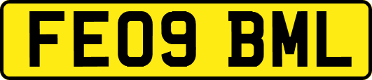 FE09BML