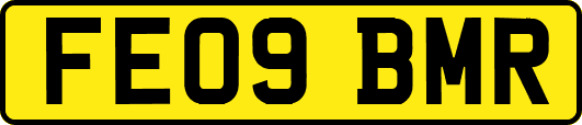 FE09BMR