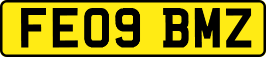FE09BMZ