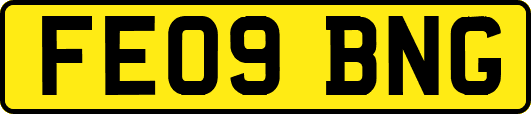 FE09BNG