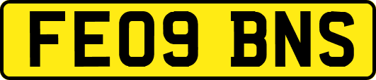 FE09BNS