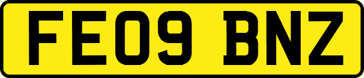 FE09BNZ