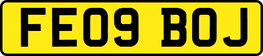 FE09BOJ