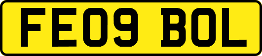 FE09BOL