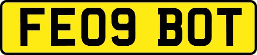 FE09BOT