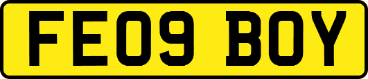FE09BOY
